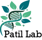 Patil Lab